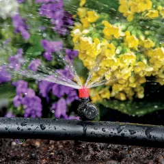 8000-6269 - МИКРОРЕГУЛАТОР ОТ 0-70LH 360° 6БР_1